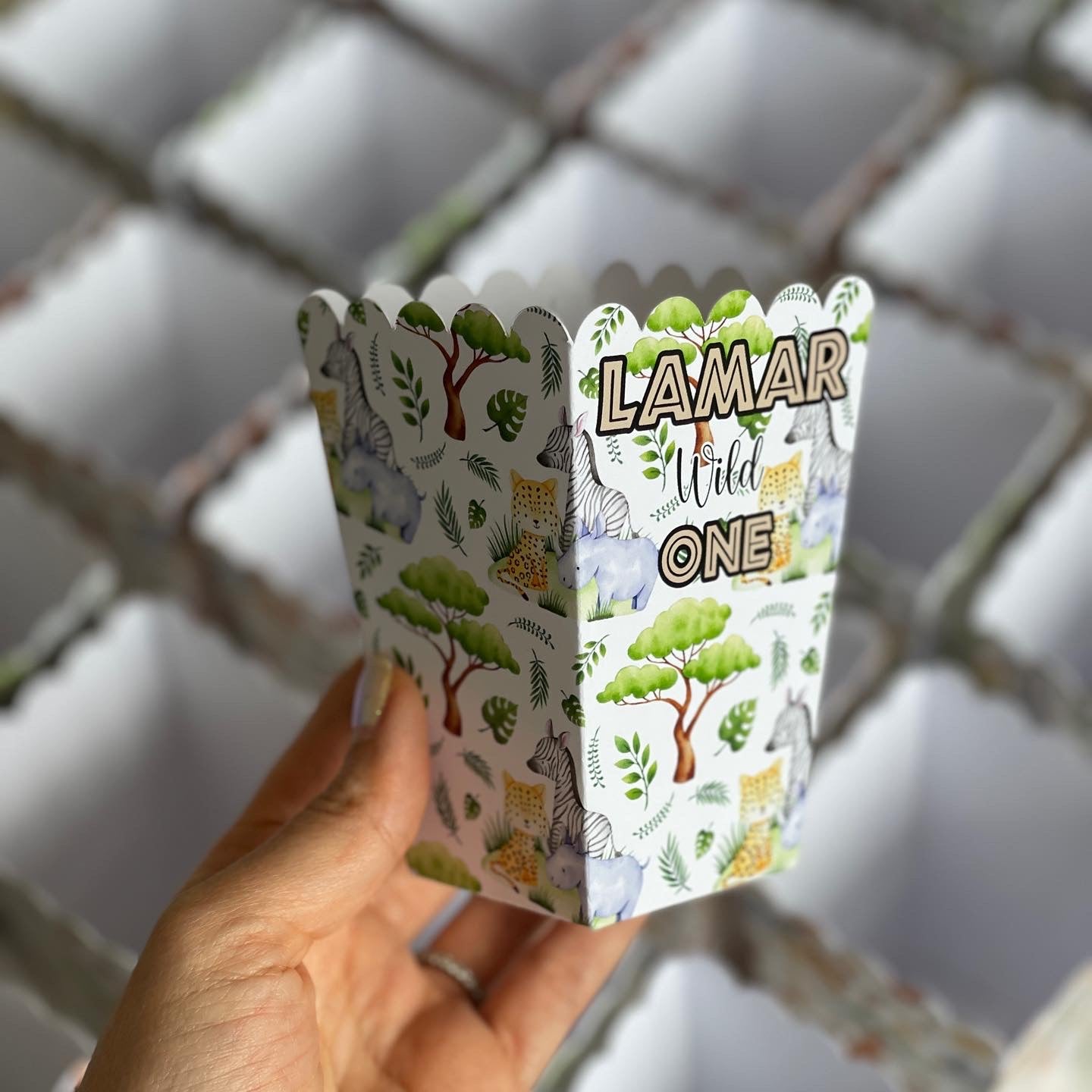 Safari Animals popcorn Box