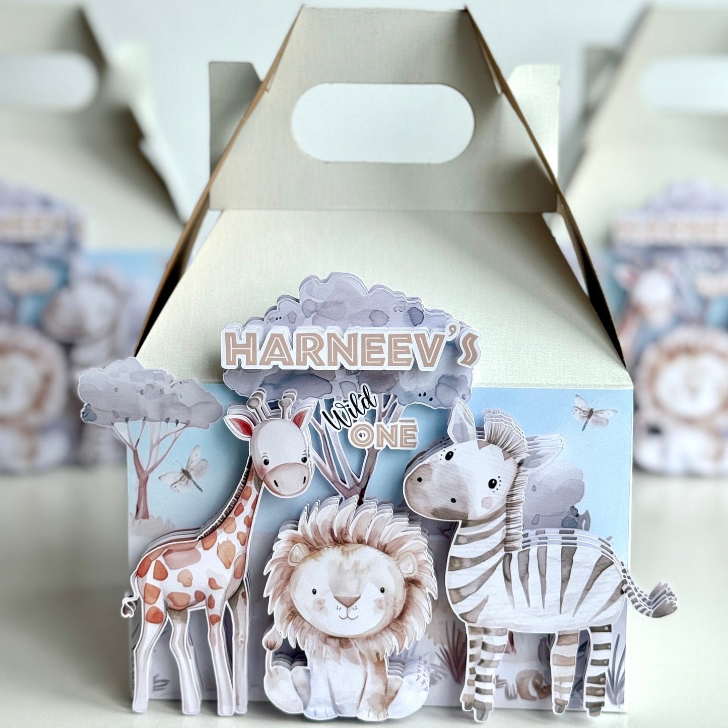 Safari Baby 3D Box