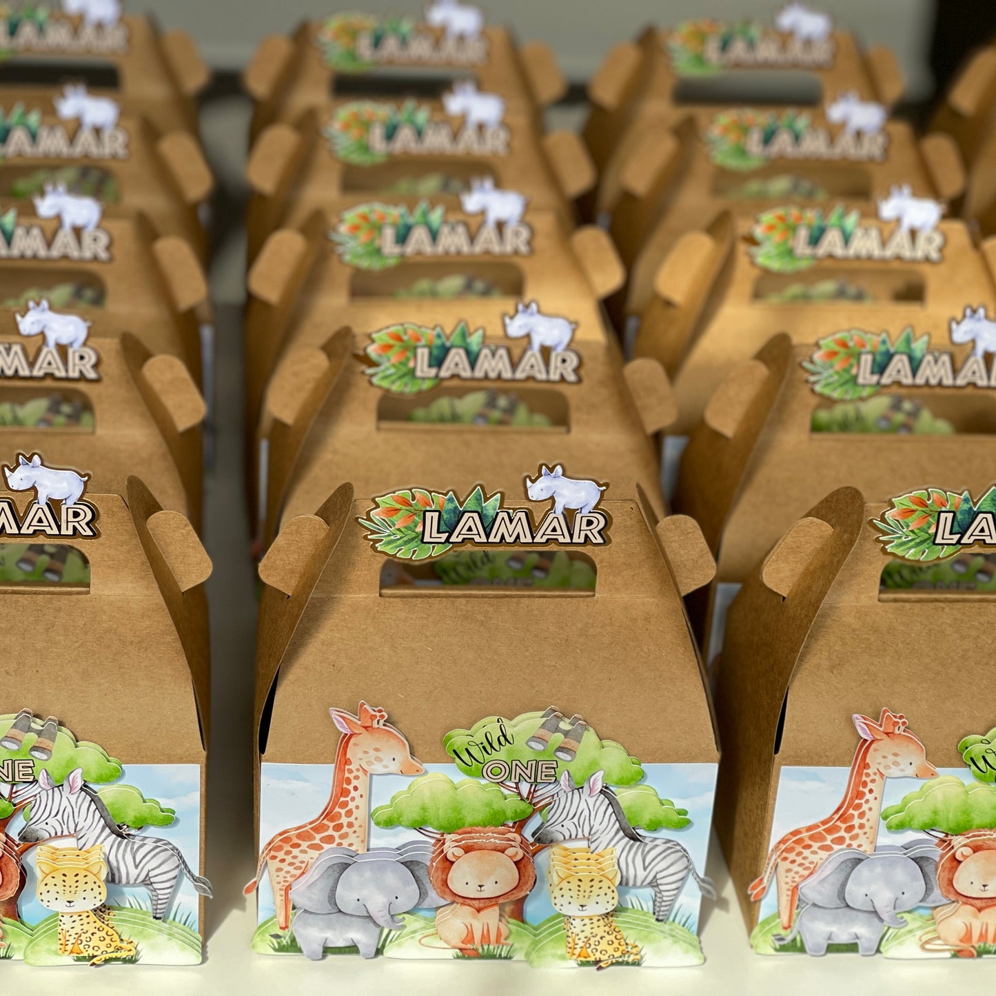 Safari Animals 3D Box