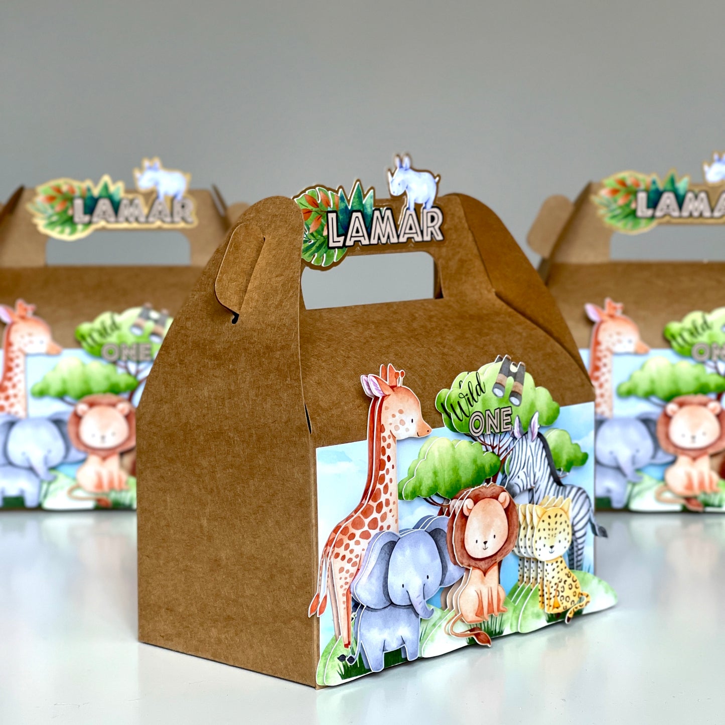 Safari Animals 3D Box