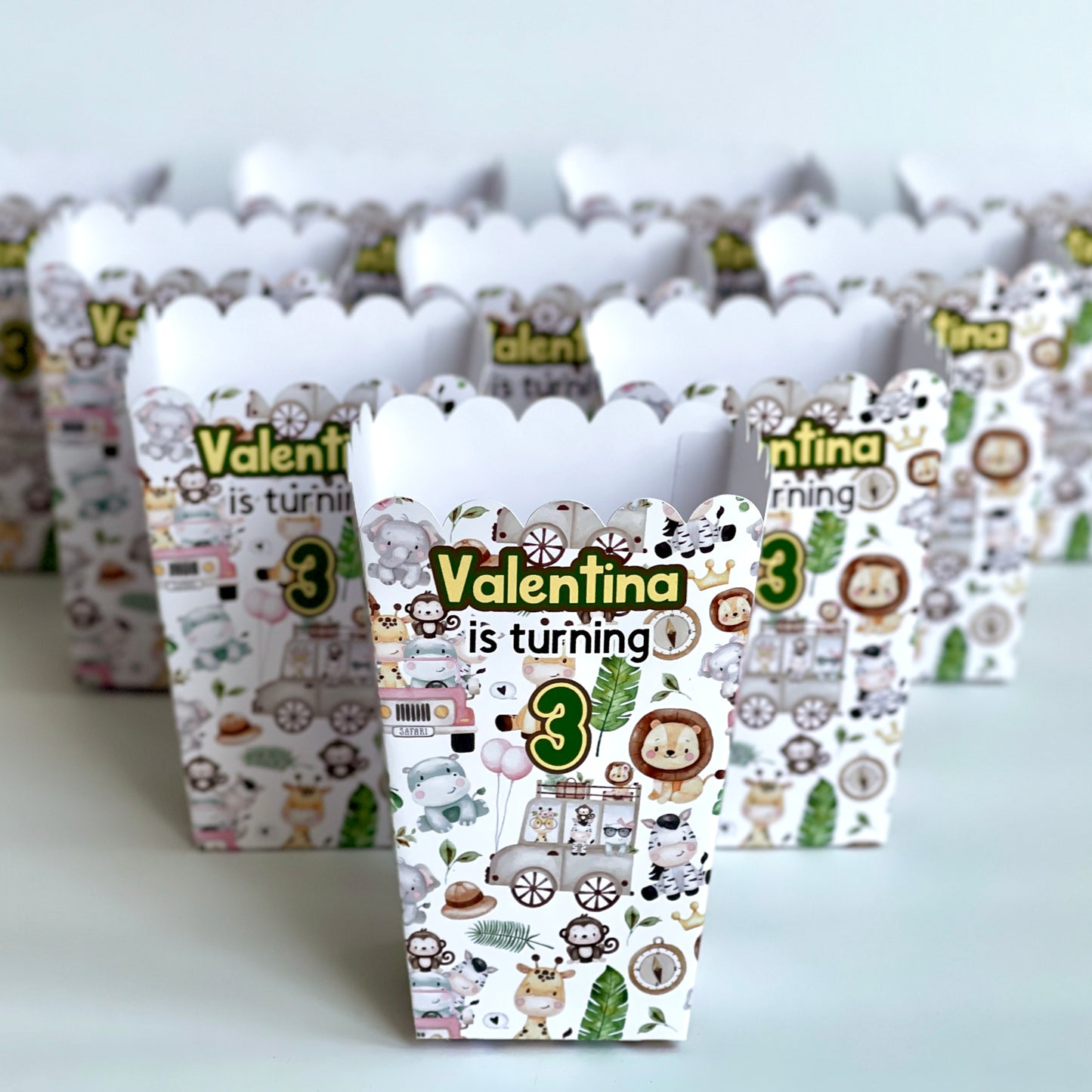Safari Animals popcorn Box