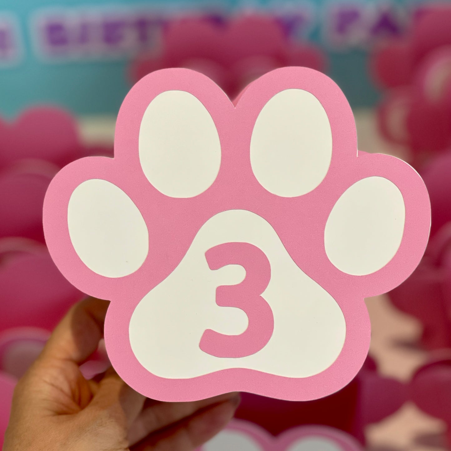 PAW Patrol Paw Box
