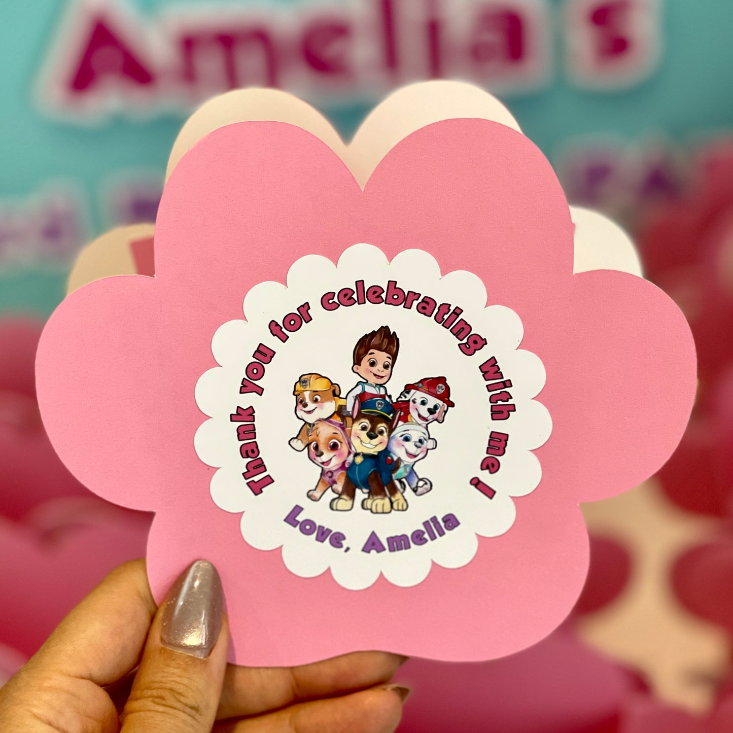 PAW Patrol Paw Box