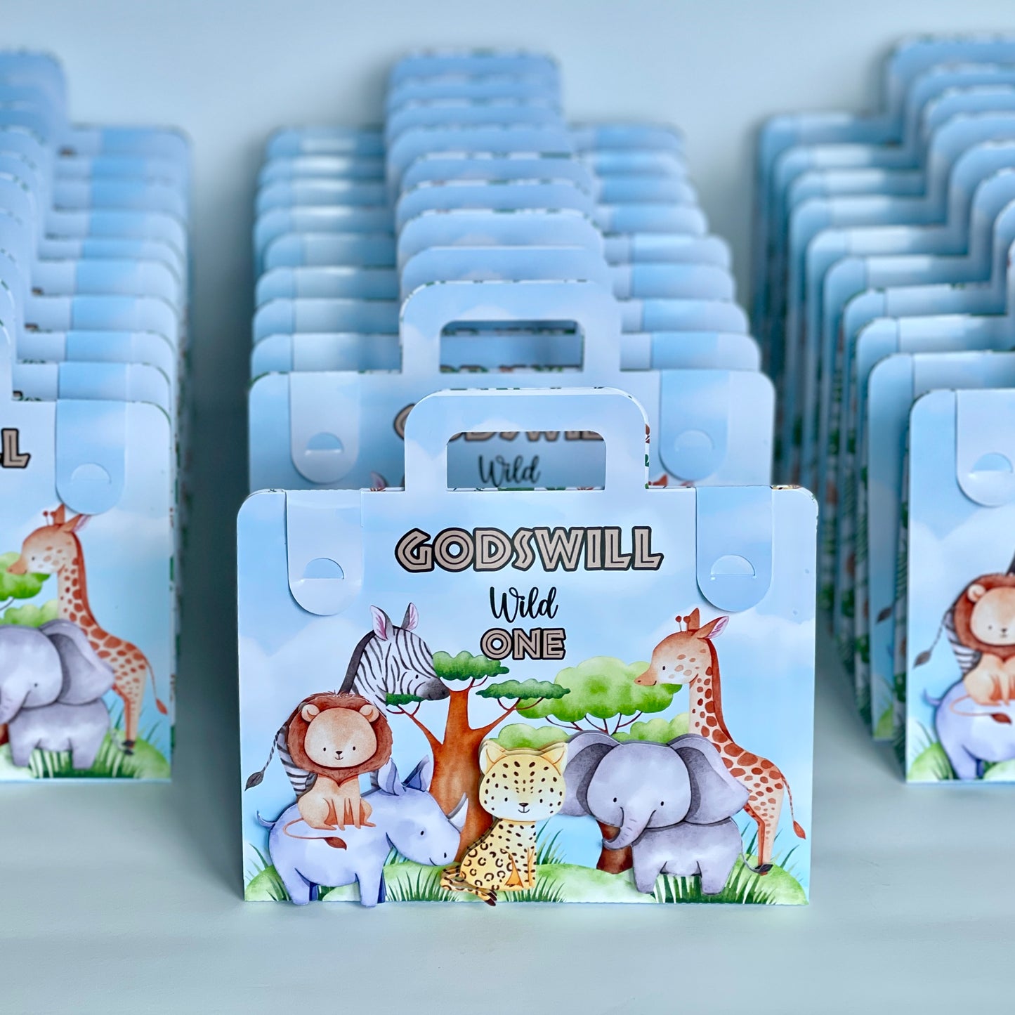 Safari Animals colouring suitcase