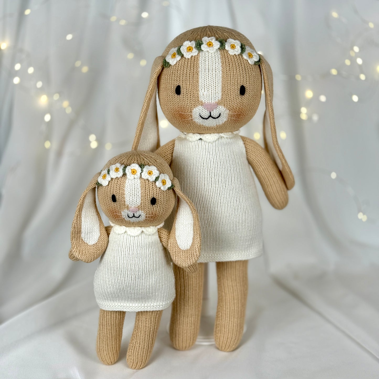 Daisy Bunny
