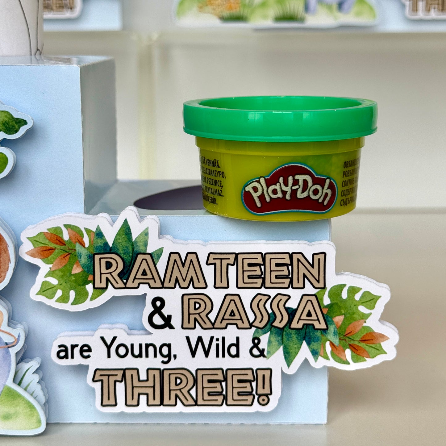 Safari Animals Colouring Box with Playdoh