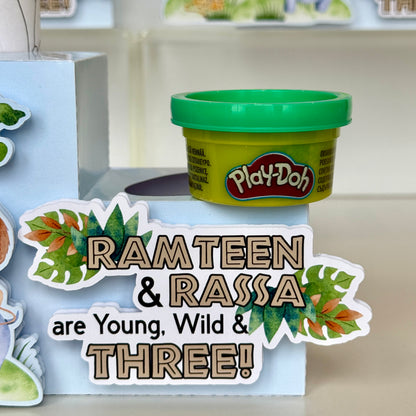 Safari Animals Colouring Box with Playdoh
